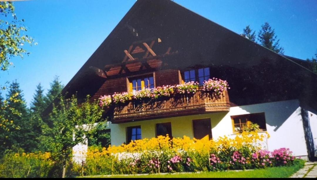 Apartmán Haus Annaburg Mariazell Exteriér fotografie